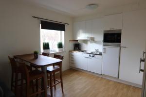 Kuchyň nebo kuchyňský kout v ubytování Studio Apartment