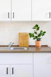 a kitchen counter with a sink and a potted plant at Airport Residence ORANGE in Warsaw