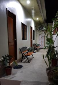 um corredor com cadeiras e vasos de plantas num edifício em Acrige Apartelle 2-4 pax Queen @ heart of Bogo City em Banban