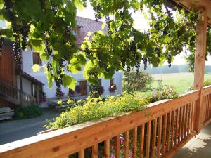een houten terras met bloemen en een huis bij Hanauerhof in Schönsee