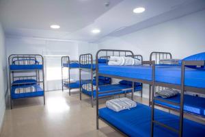 a room with several blue bunk beds in it at Albergue Municipal San Cipriano in Ayegui