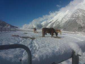 s'Peaters durante l'inverno