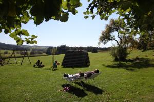 a person laying in a lawn chair in a field at Hanauerhof in Schönsee