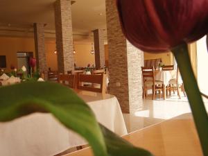 Gallery image of Mosaic City Hotel in Madaba