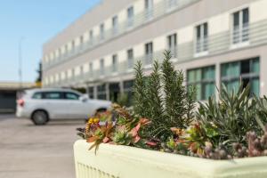 Φωτογραφία από το άλμπουμ του Hotel Mondo στο Σπλιτ