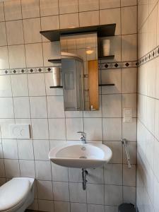 a bathroom with a sink and a mirror and a toilet at Ferienwohnung Distelkamp in Neuwied