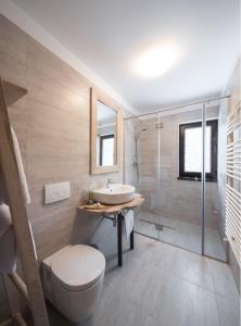a bathroom with a toilet and a sink and a shower at Chalet Alpina in Moroeni