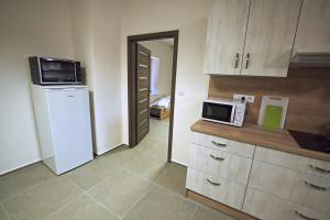 "U Čápa" Krásný apartmán v Sedleci廚房或簡易廚房