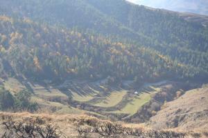 a view of a valley with trees on a mountain at Oasis in Aspindza
