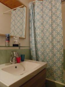 uma casa de banho com um lavatório e uma cortina de chuveiro em DUPLEX Les Plautus em Orcières