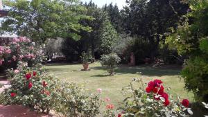 A garden outside Villa Fabbri