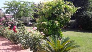 A garden outside Villa Fabbri