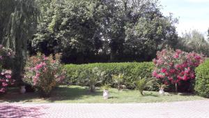 A garden outside Villa Fabbri