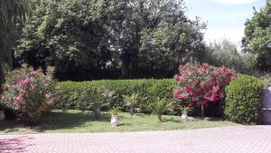A garden outside Villa Fabbri