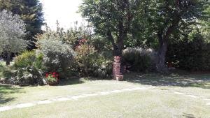 A garden outside Villa Fabbri
