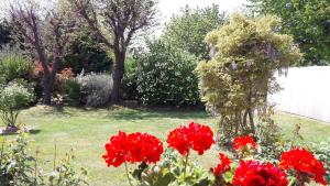 A garden outside Villa Fabbri