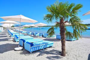 a row of blue chairs and a palm tree on a beach at LupaGlamping in Budakalász