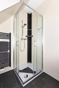 a shower in a bathroom with a glass enclosure at Hotel garni Haus am Meer in Neuharlingersiel