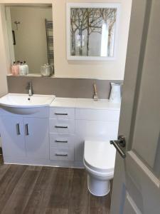 a bathroom with a toilet and a sink and a mirror at The Annex Apartment is on Cheddar Bridge Apartments in Cheddar +24 photos