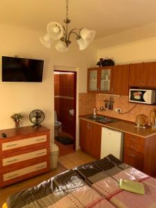 Кухня или мини-кухня в Adria penzión
