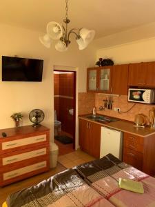 a kitchen with a sink and a counter top at Adria penzión in Štúrovo