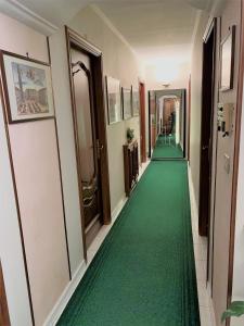 un pasillo con alfombra verde en un pasillo en HOTEL ELENA, en Turín