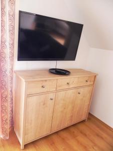 telewizor z płaskim ekranem na drewnianej komodzie w obiekcie Noclegi Ostoja - Zwierzyniec, Roztocze w Zwierzyńcu