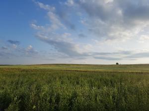 ein Grasfeld mit blauem Himmel und Wolken in der Unterkunft BIO Farma & Penzión Zlatý Hýľ in Nováčany
