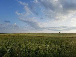 Billede fra billedgalleriet på BIO Farma & Penzión Zlatý Hýľ i Nováčany