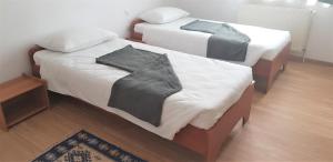 Postel nebo postele na pokoji v ubytování Coroian House