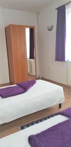 Postel nebo postele na pokoji v ubytování Coroian House