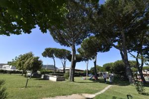 a park with trees and people in the grass at Agriturismo Redipuglia in Alberese