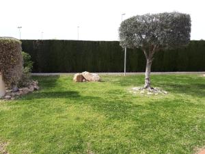 Zdjęcie z galerii obiektu Spanische Bungalow in Kurort w mieście Orihuela