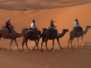 a group of people riding on camels in the desert at Gite D'Etape Amced in Goulmima