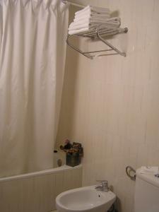 a bathroom with a shower curtain and a toilet and a sink at Hotel La Brañina in Villablino