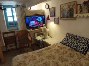 エルサレムにあるCozy Gardenのベッドルーム(ベッド1台、テレビ、椅子付)