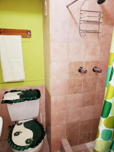 a bathroom with a toilet and a shower at Hostal La Nuit in Cusco