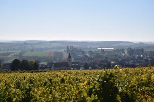 a view of a vineyard with a town in the background at Chambres d'hôtes "La Petite Vallée" in Rott