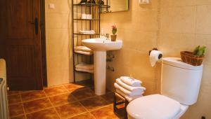 a bathroom with a white toilet and a sink at Casa Rural Tia Catalina in Fuentealbilla +47 photos