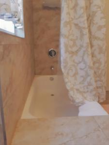 y baño con cortina de ducha y aseo. en Secret Garden Inn & Cottages en Santa Bárbara
