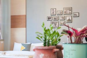 Fotografie z fotogalerie ubytování D.C. Inn v destinaci Magong