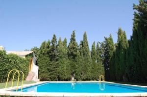 una piscina en un patio con árboles en Cortijo Jabonero en Mollina