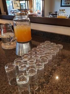 un montón de vasos sentados en un mostrador con un frasco de zumo de naranja en Royl Court Guesthouse, en Kimberley