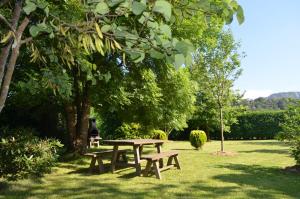 a picnic table in a park under a tree at Casa Rural El Bellucu in Cangas de Onís