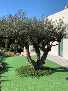 A garden outside Villa las Colinas Golf Resort