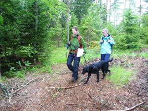 2 personnes marchant un chien noir sur un sentier dans l'établissement KynnefjällsNatur, à Hedekas