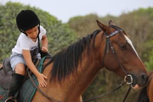 Horseback riding at the resort or nearby