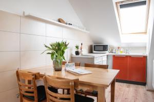 Kuchyň nebo kuchyňský kout v ubytování Hetényi Apartmanház és Birtok
