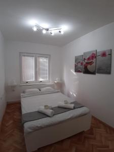 Gallery image of Apartment Teodora in Belgrade