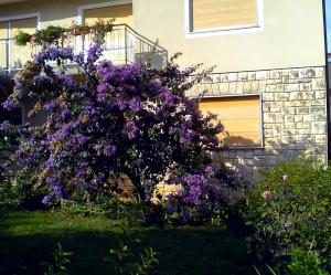 Gallery image of Sweet apartment in Pomer in Pomer